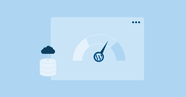 applications web mise en cache, expiresbytype text css, access plus 1 month, access plus 1 year, expiresbytype image x icon, mémoire css