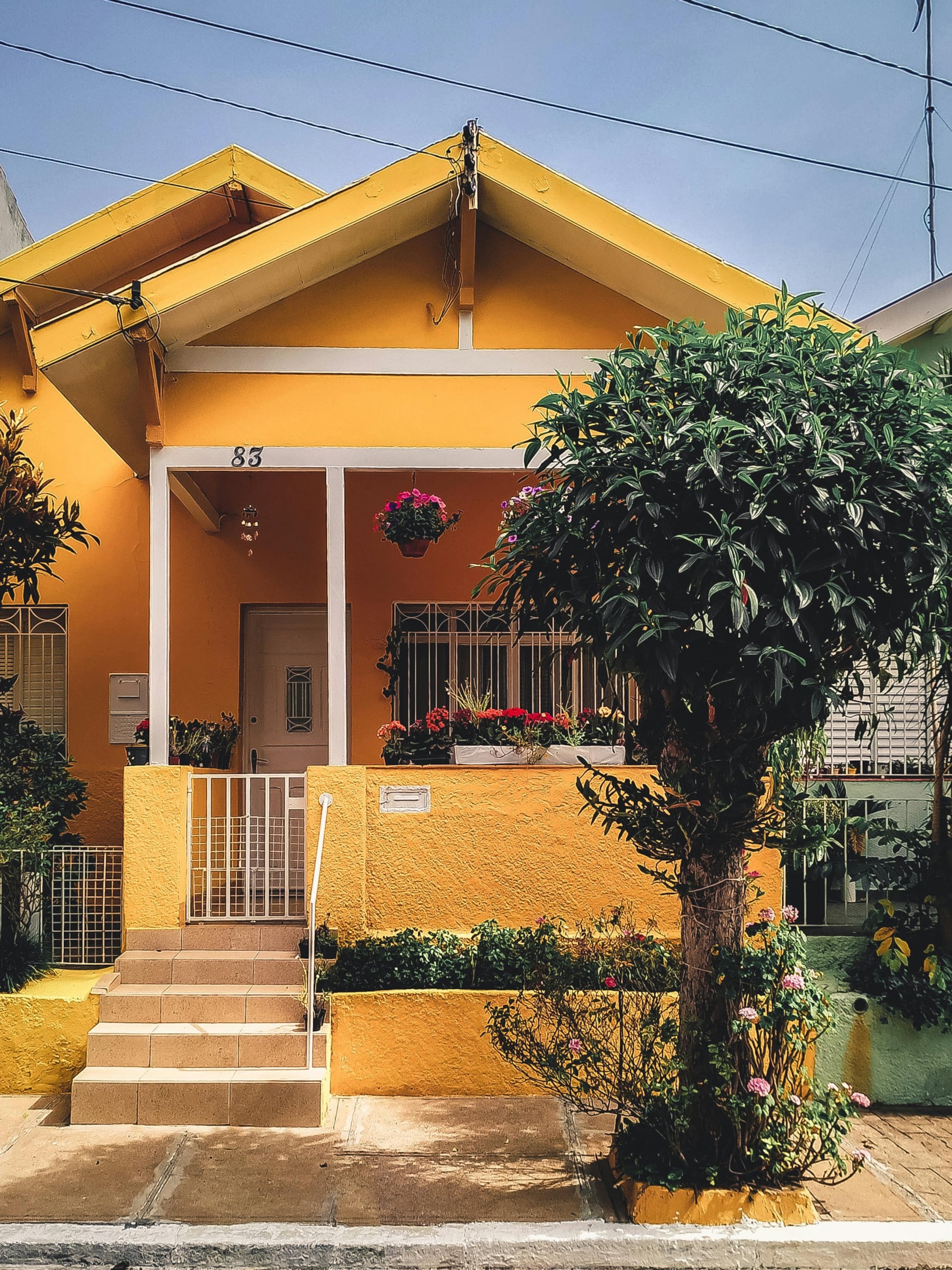 Single family house purchased and owned by a successful real estate investor.