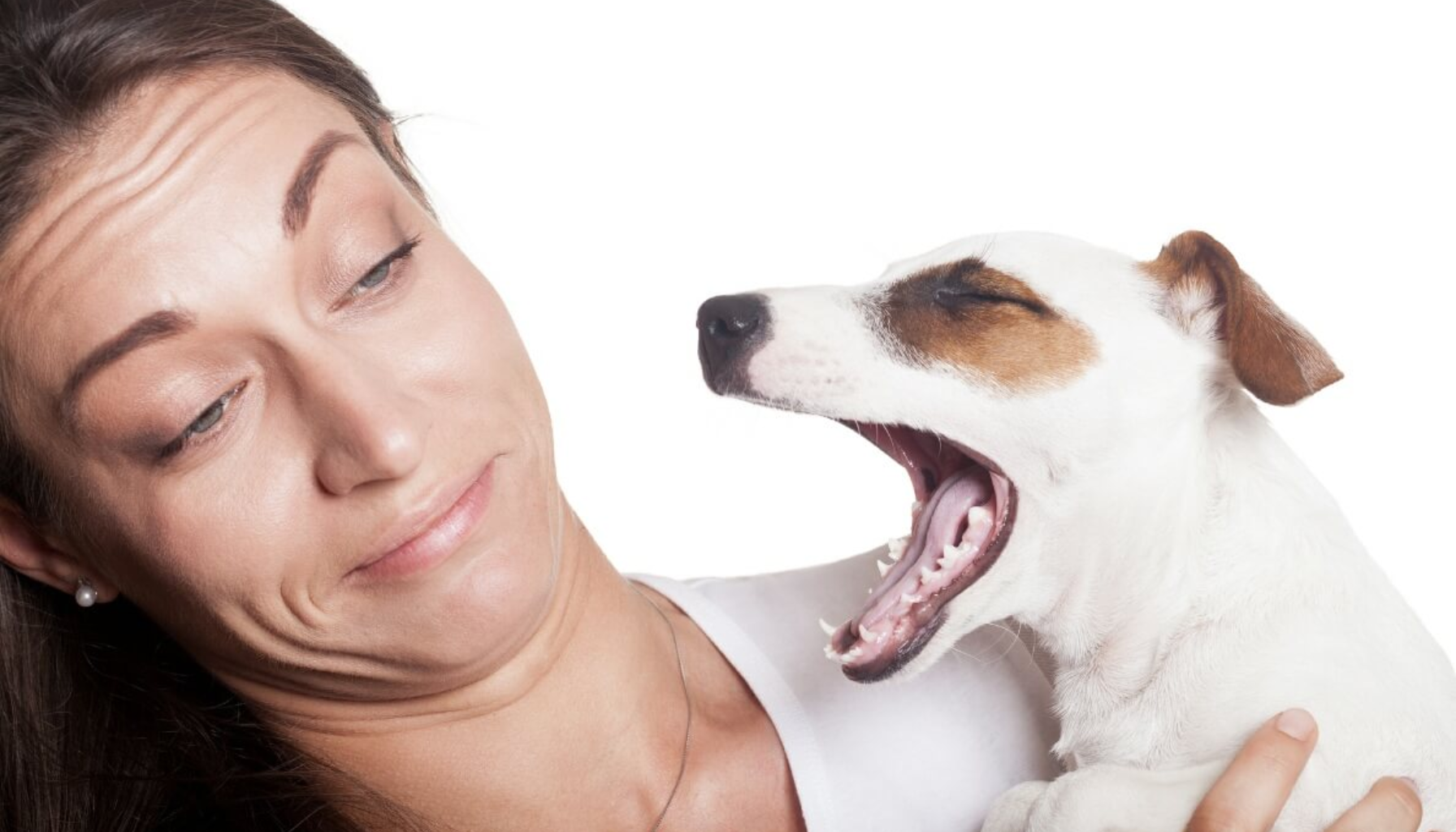 Kvinne som holder en hund som gjesper stort med munnen åpen.