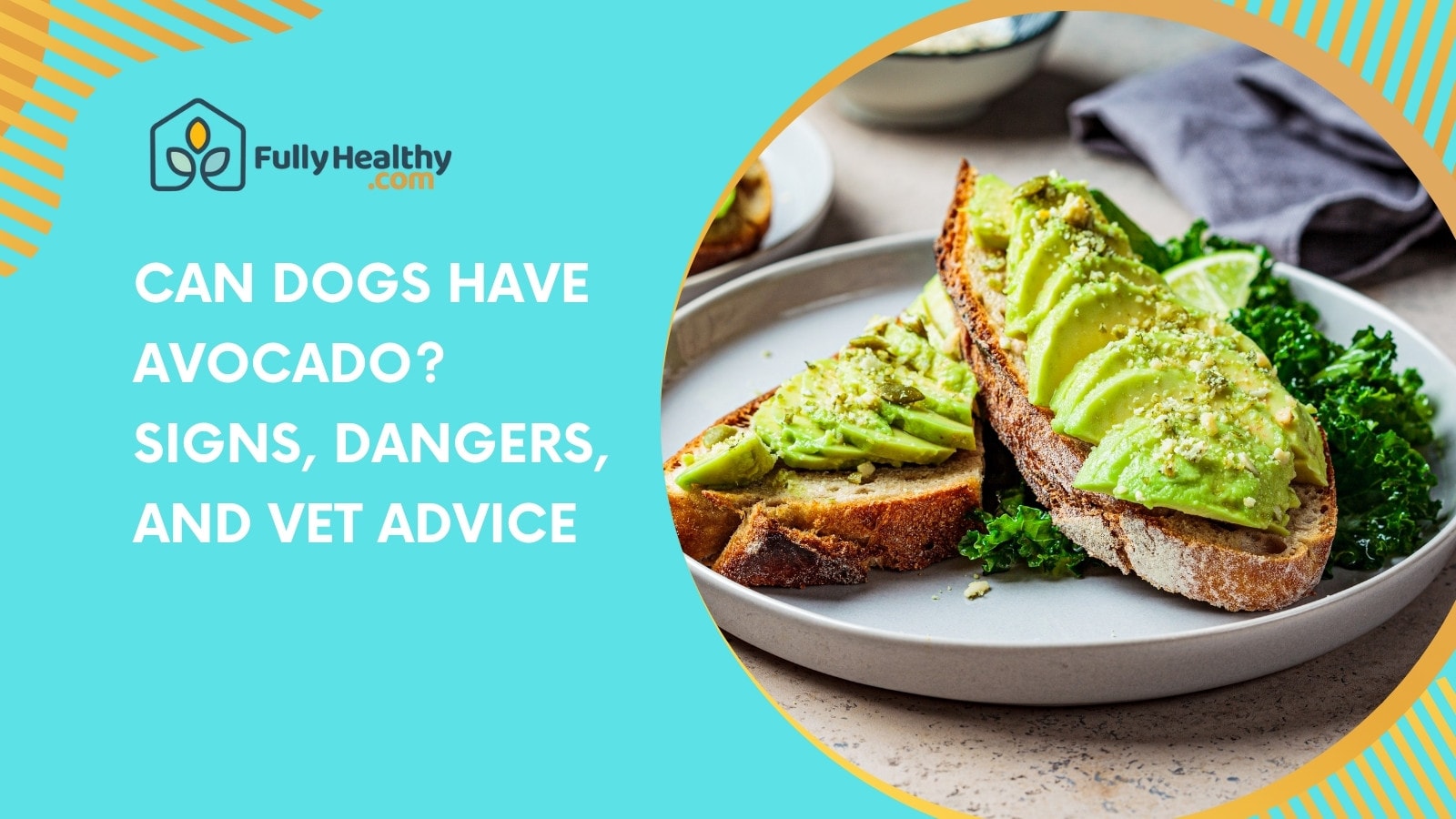 Can Dogs Have Avocado? Signs, Dangers, and Vet Advice