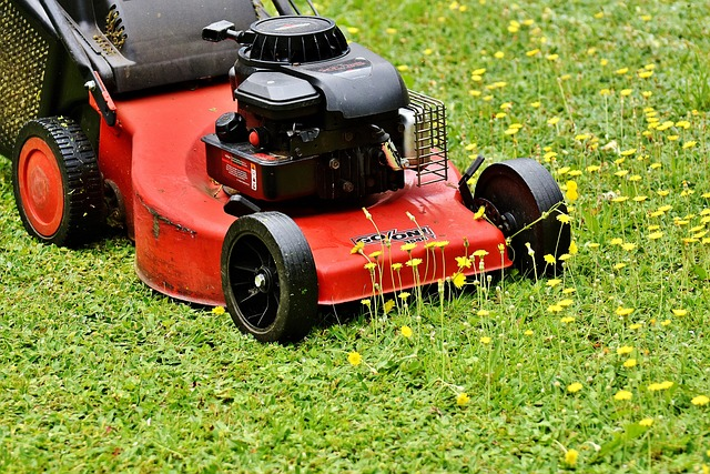 store lawn mowers, storage shed