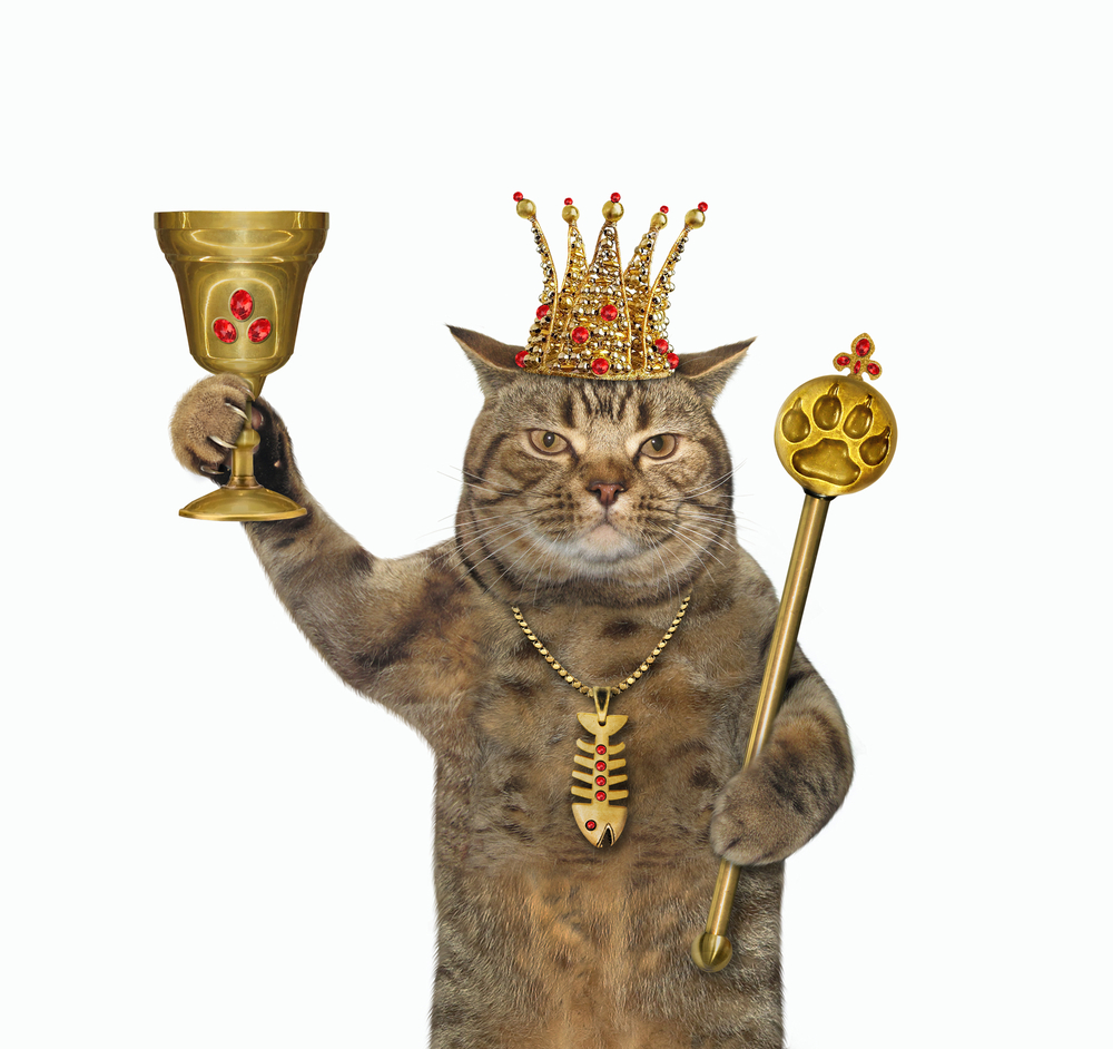 beige cat king in royal crown, gold fish bone pendant necklace, is holding a goblet with rubies and a royal scepter with a paw imprinted.