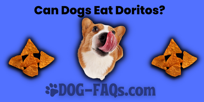 Can Dogs Eat Doritos?