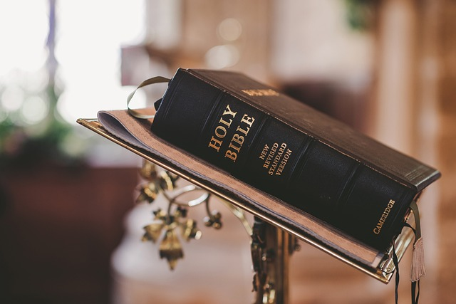 biblia, iglesia, boda