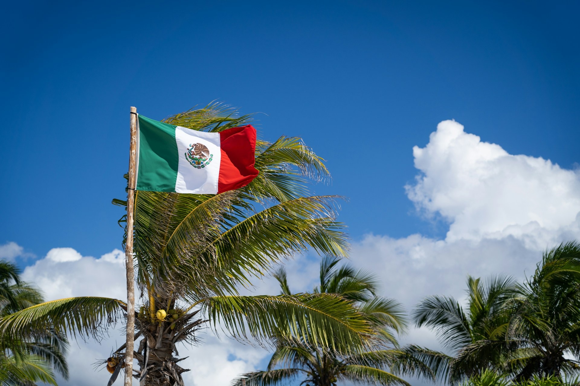Obtaining a Dual Citizenship Has Both Positive and Negative Sides