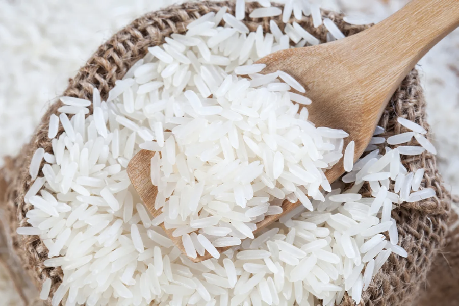 Best Rice Price List in Philippines January 2024