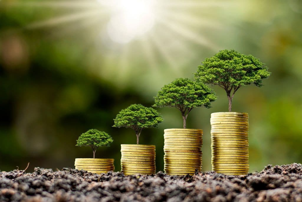 Growth In Sustainable Investments