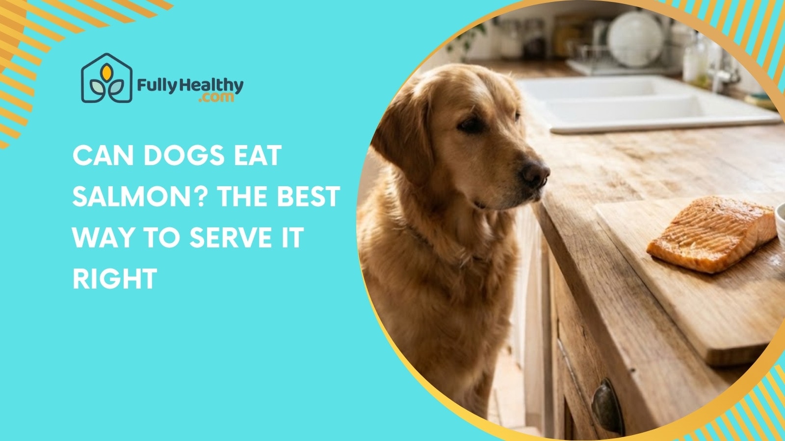 Can Dogs Eat Salmon? The Best Way to Serve It Right