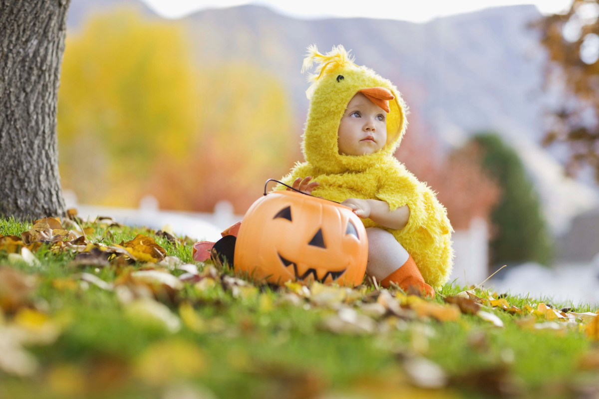 Adorable animal costumes for babies, perfect for Halloween fun.