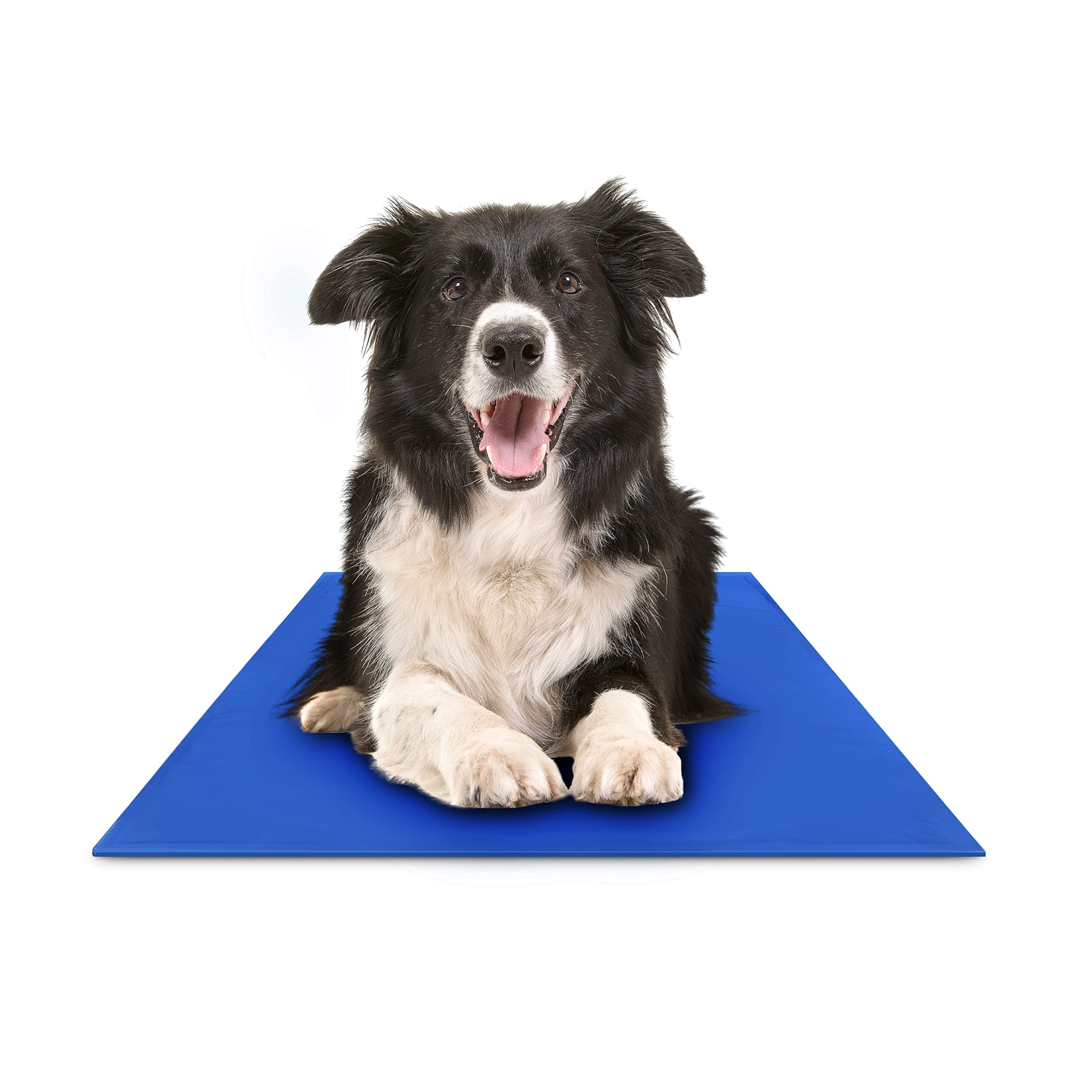 This cooling mat may help your pet chill this summer - Reviewed
