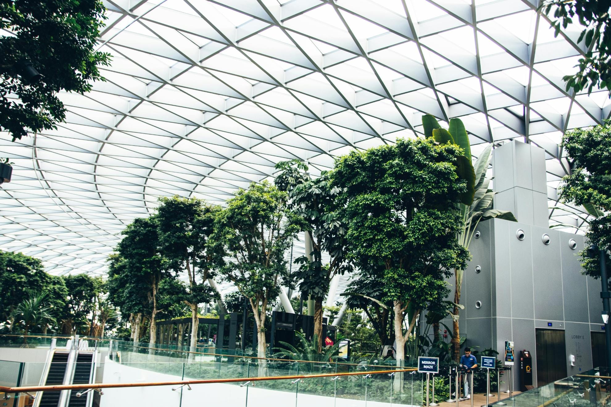 A vast, geometric glass roof spans over a bright indoor park, illuminating tall trees and lush landscaping with natural light. Beneath this intricate architectural canopy, visitors navigate a walkway lined with glass railings, passing escalators and signs for attractions like a "Mirror Maze."