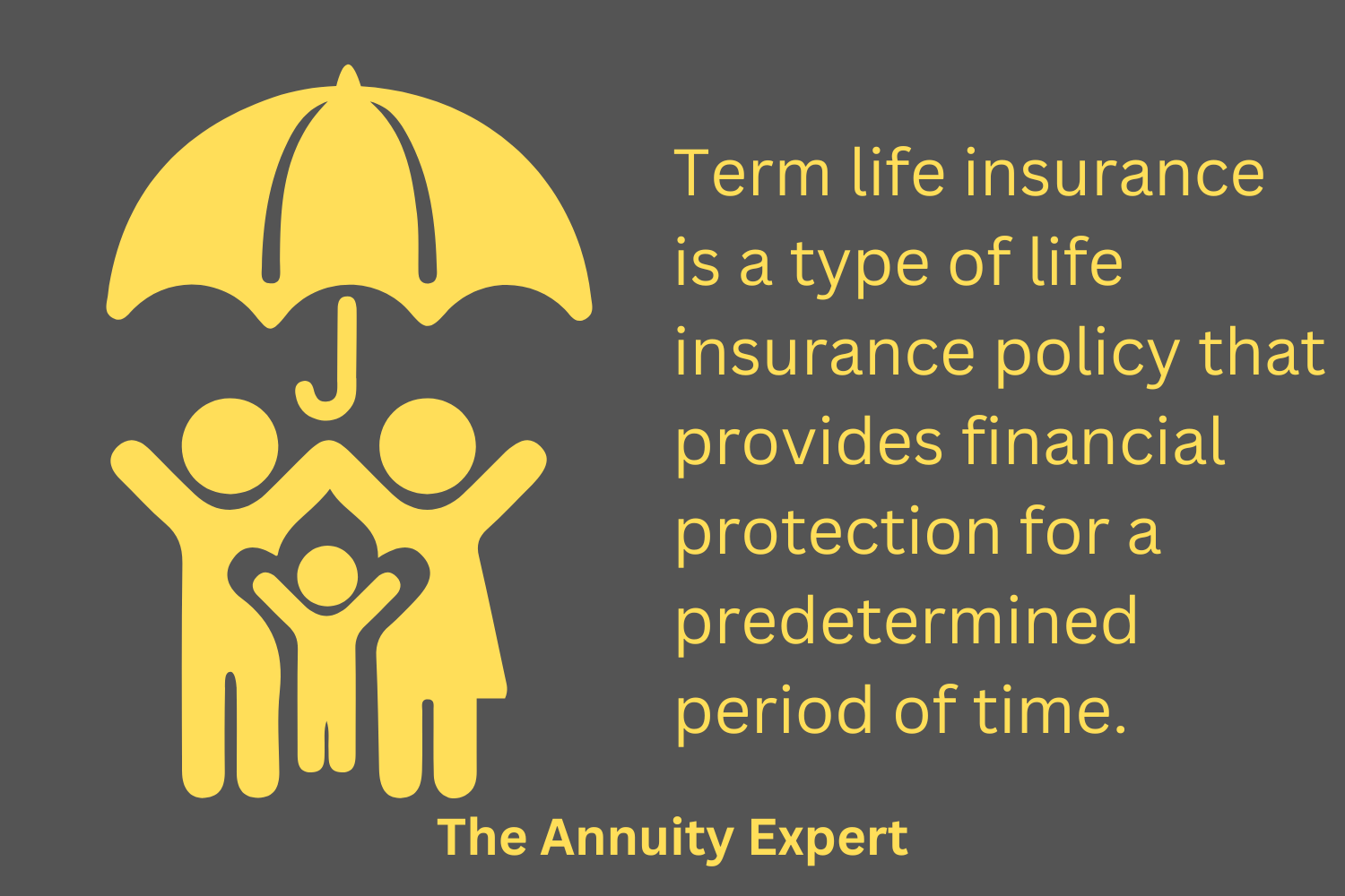 What Is Term Life Insurance?