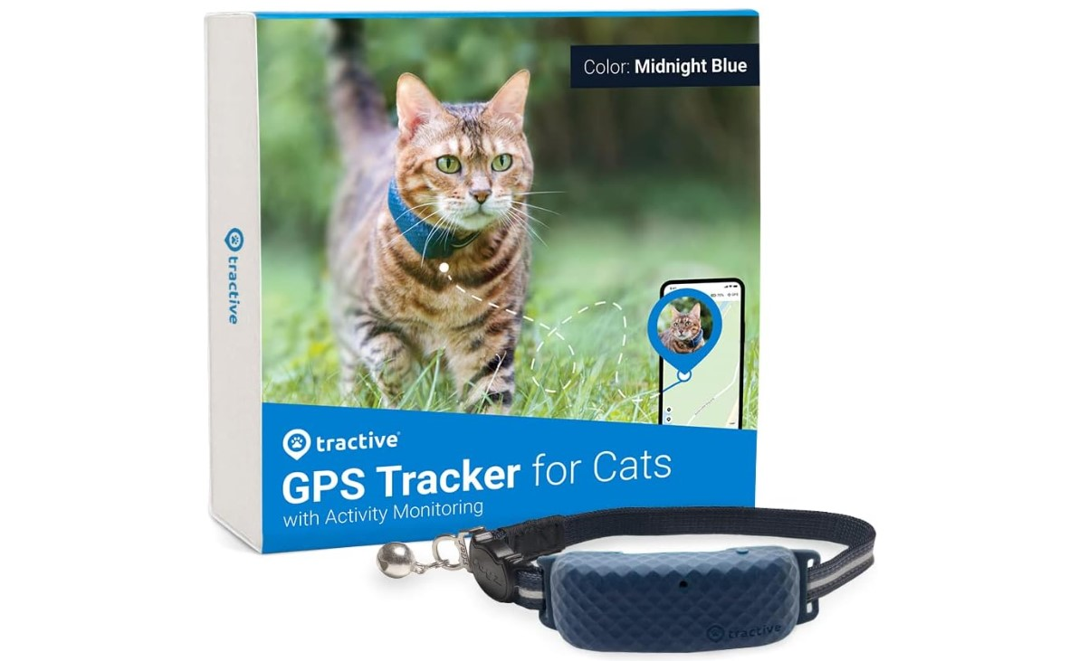 Best GPS cat tracker UK - Tractive GPS Cat Tracker