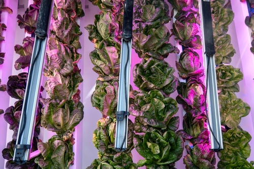 A picture of a hydroponic tower with many plants growing in it and various accessories