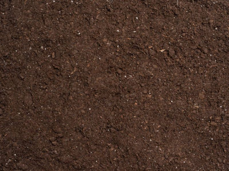 Organic soil