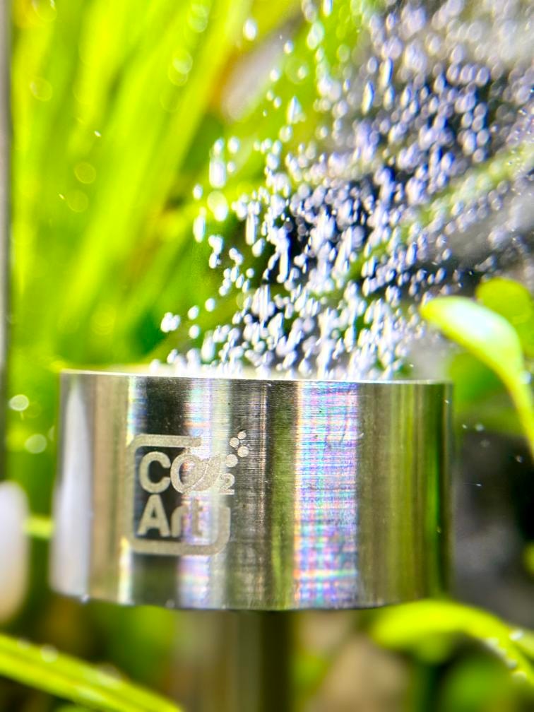 Co2 diffuser can help break down the protein film.