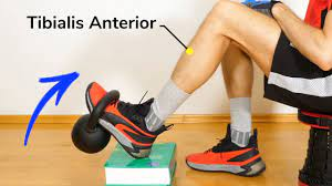 Shin Training: 4 Exercises (Tibialis Anterior Muscle) for Runners, Inlineskaters, Soccer Players - YouTube
