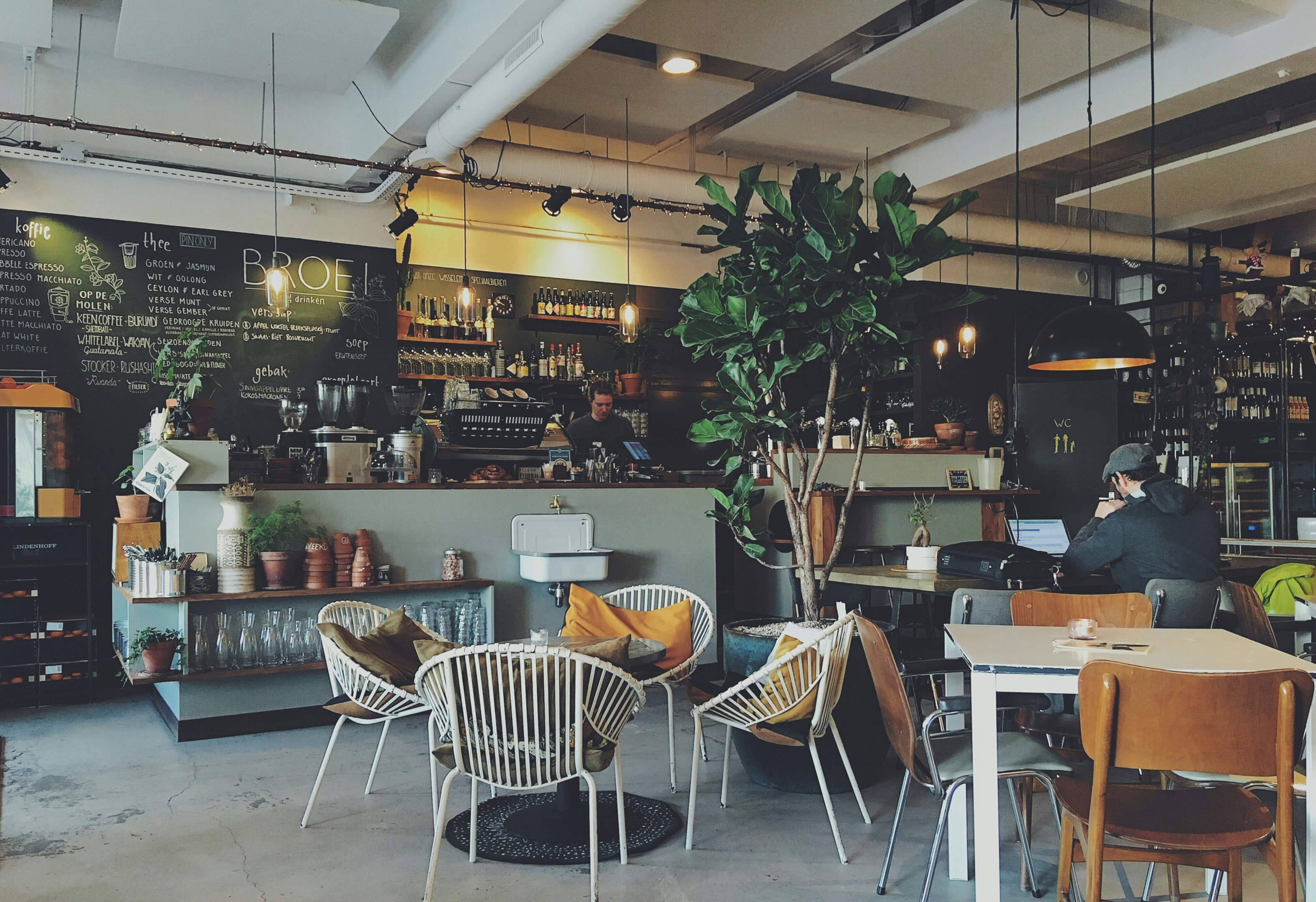 Modern coffee shop interior with a cozy seating area, large potted plant, and a barista working behind the counter with espresso machines and chalkboard menus in the background.