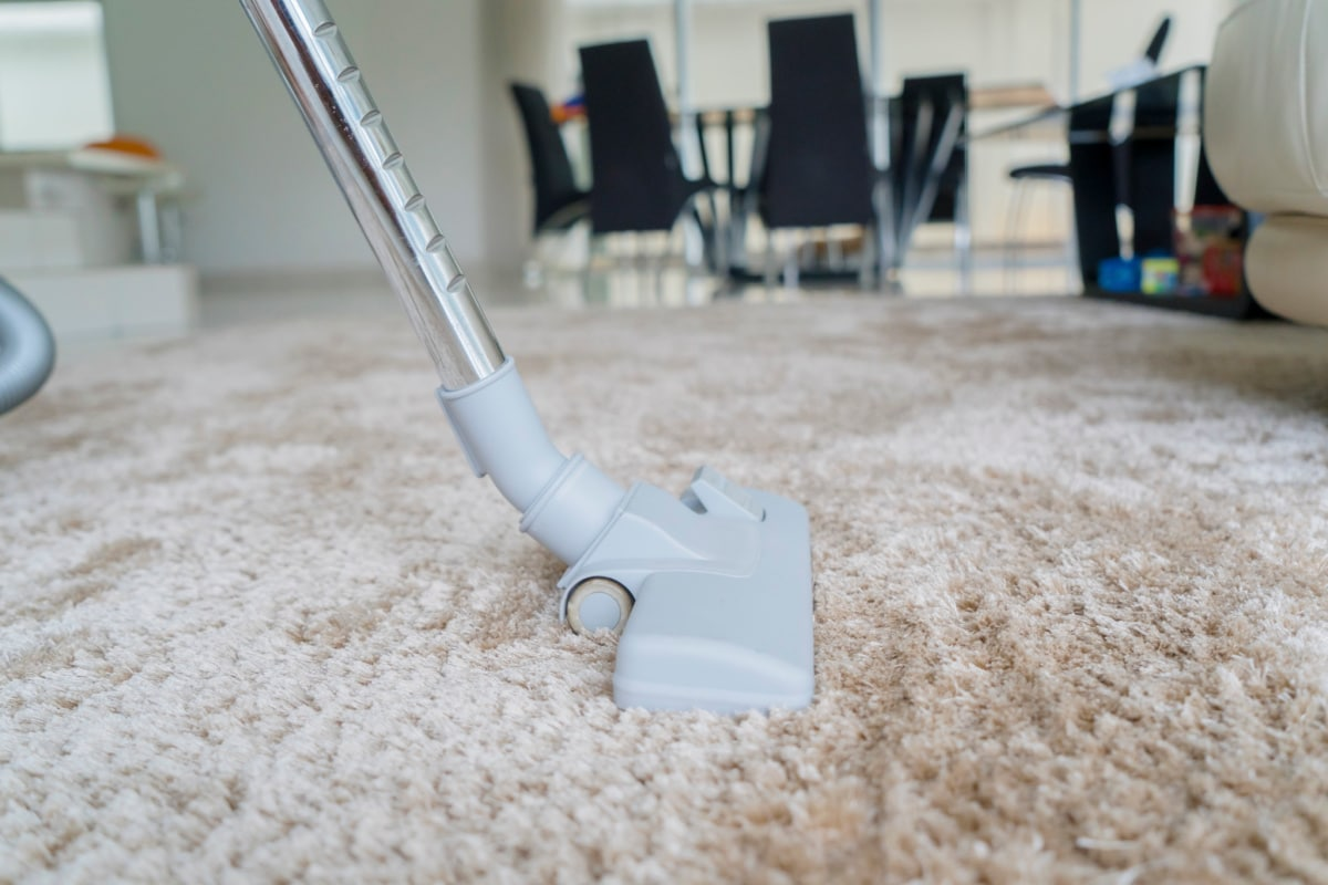Add frequent vacuuming to your routine cleaning task to remove dirt and pet hair