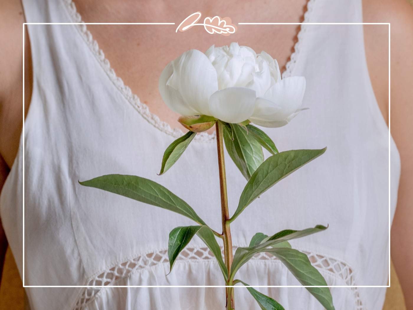 A single white peony held by a woman in a white dress, from '11 Fabulous Reasons to Buy Peonies'.