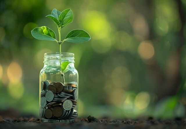 seedling in a jar of coins symbolizing how walmart fulfillment services can boost customer purchases