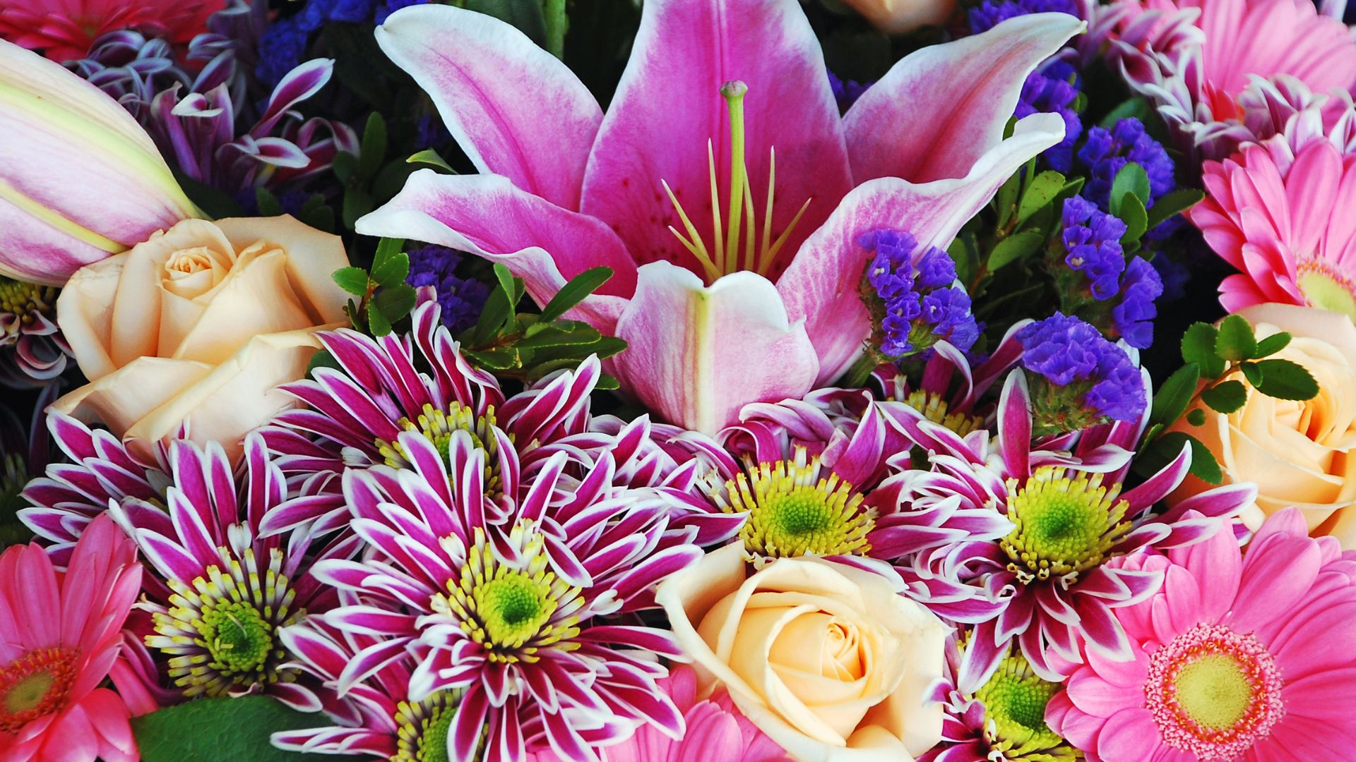 Order Lilies for Bouquets and Floral Arrangements
