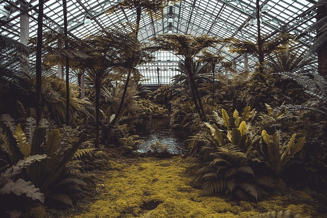 tropical-garden