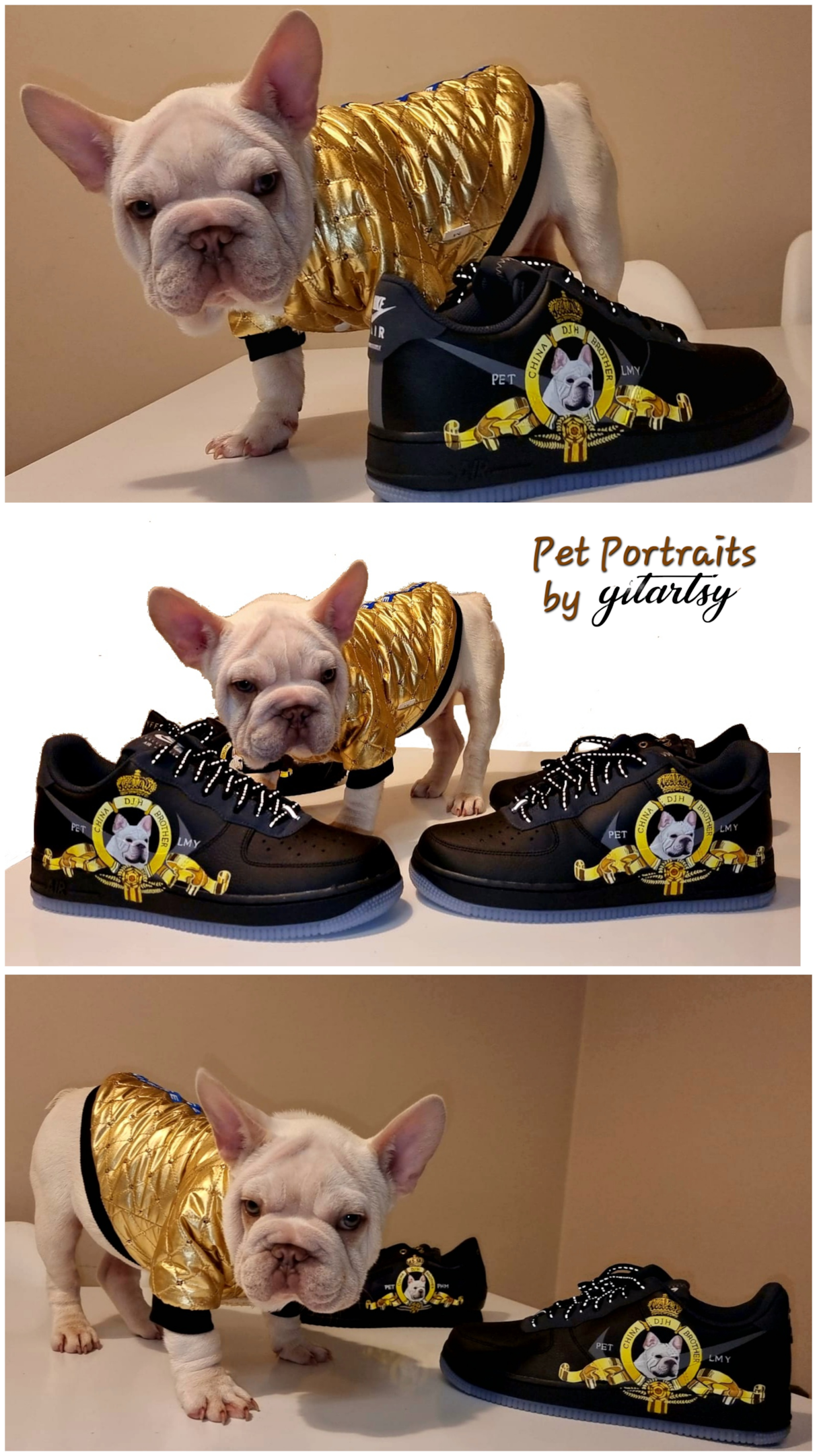 Pet puppy frenchie bull dog - with customised nike sneakers 