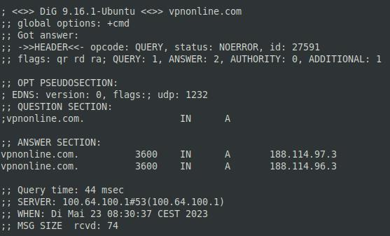 Der DNS-Server meines VPN-Dienstes funktioniert reibungslos