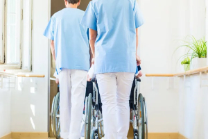 Most common perpetrators of elder abuse