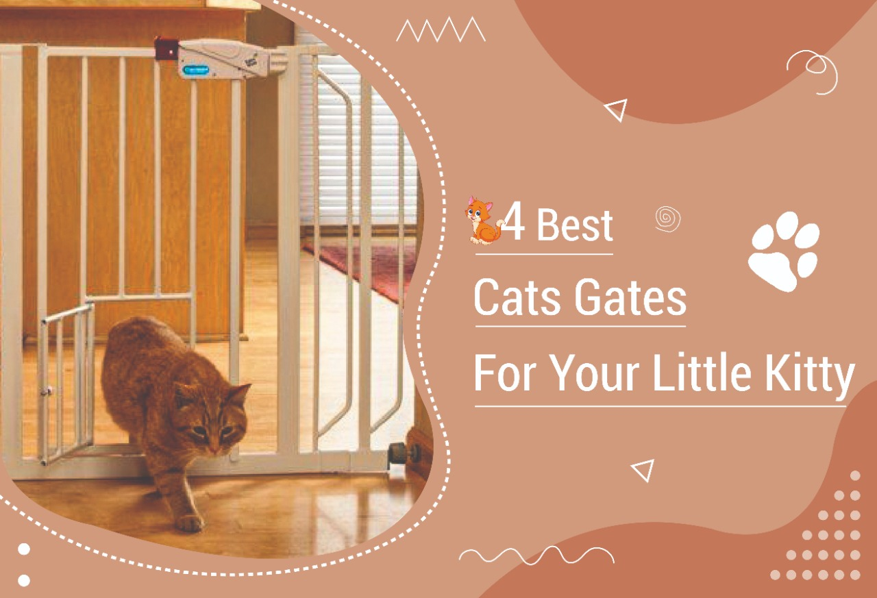 Quality extra tall gate for dogs, cats, to keep them in one portion of the house