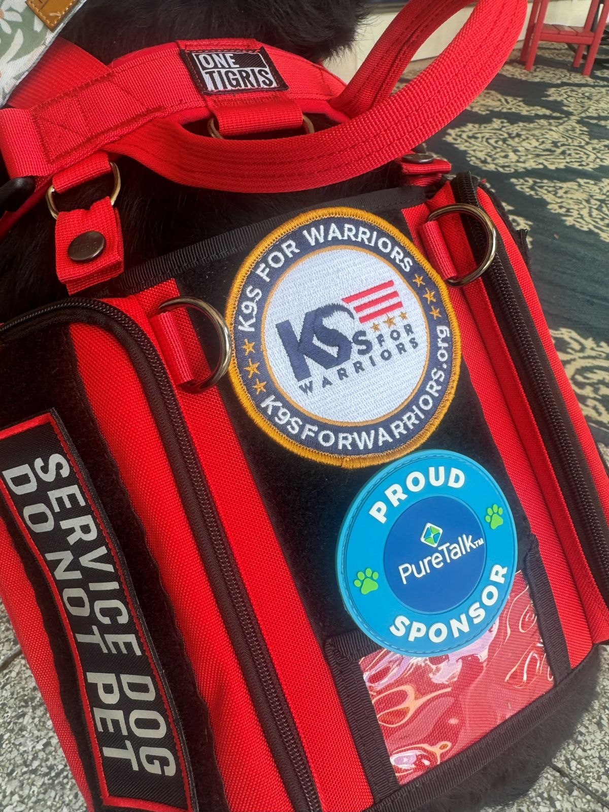 A K9s For Warriors service dog proudly wears his K9s For Warriors and PureTalk vest.