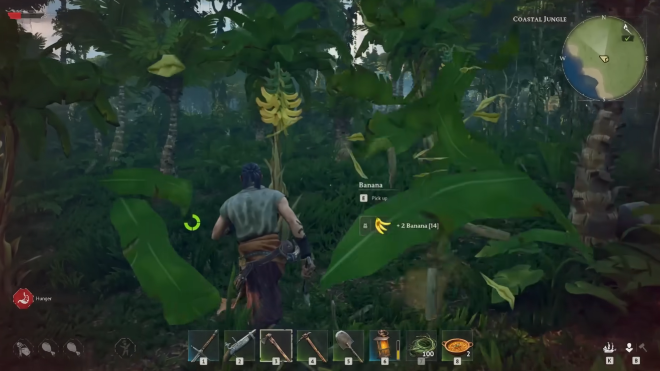 Windrose Food Bananas