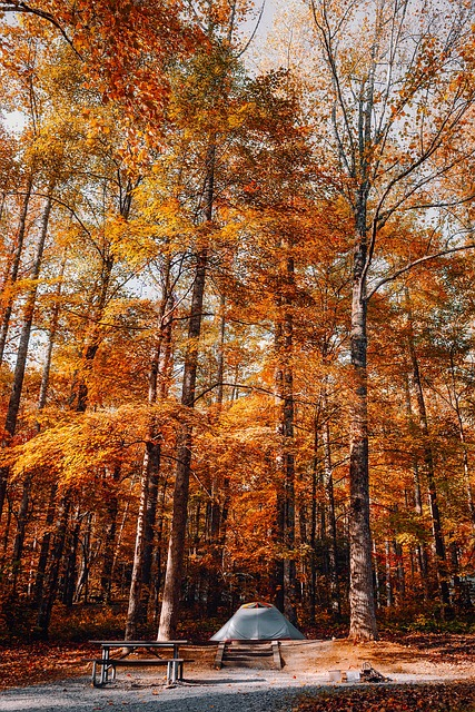 great smoky mountains, national park, tennessee