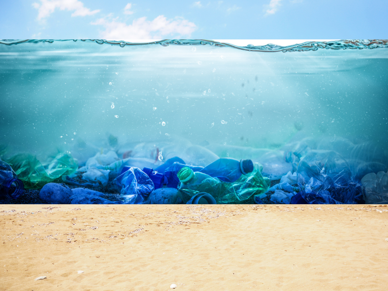 Plastic Bottles and Single-Use Items: Key Contributors of ocean and pollution