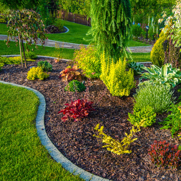 Picture of a newly planted tree in a well-designed country club landscape.