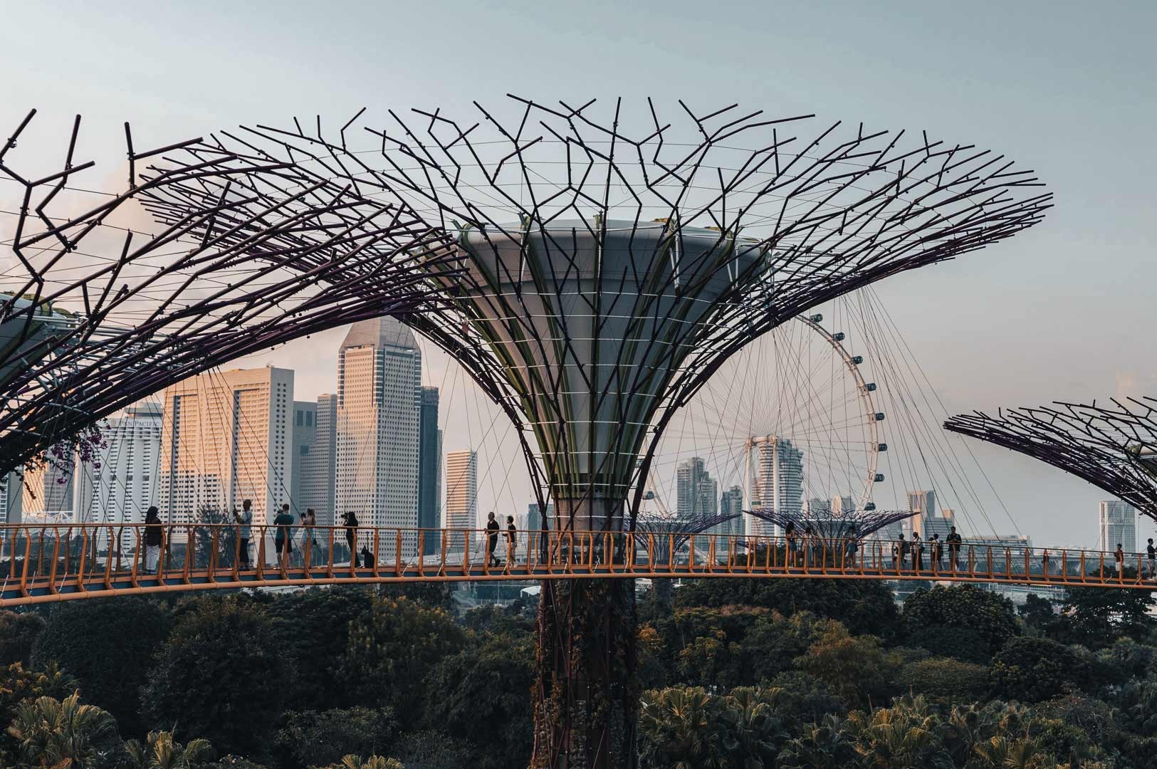 Supertree Grove with visitors on the elevated skywalk and the Singapore skyline in the background at golden hour.