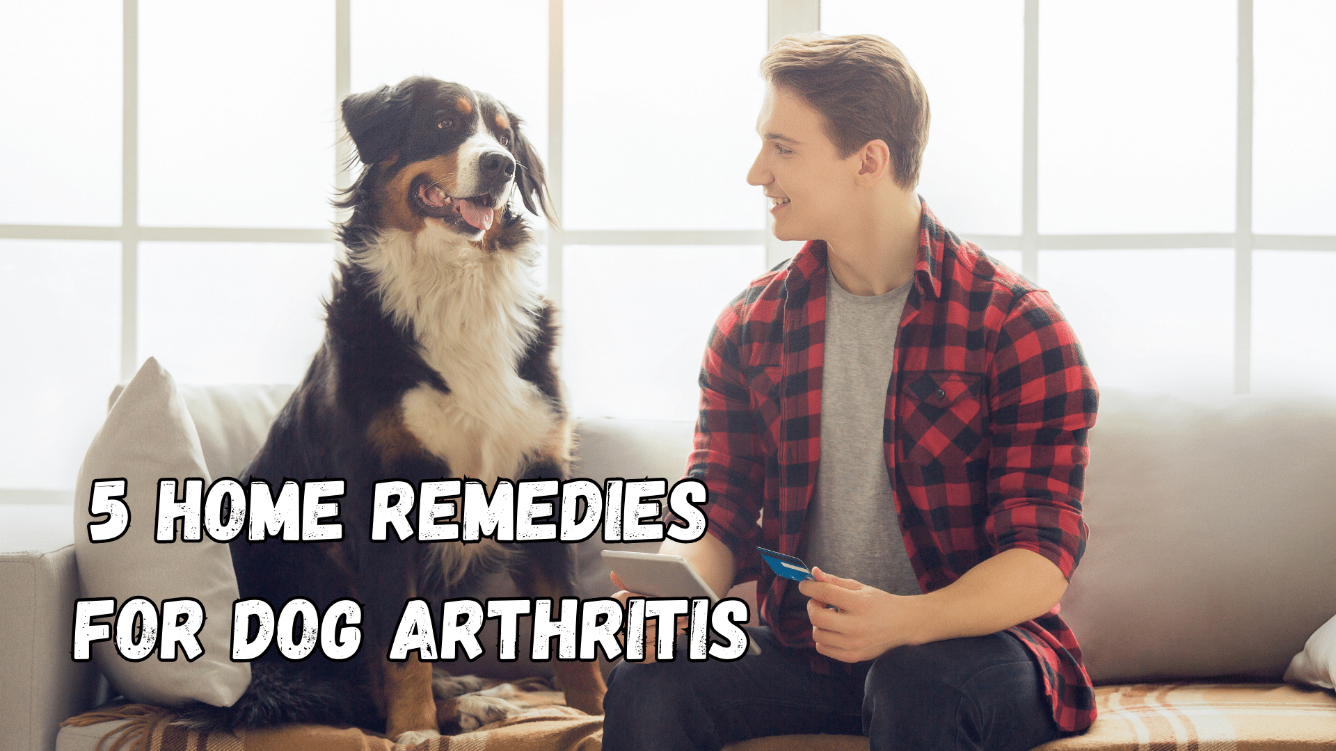 Remedies For Dog Arthritis