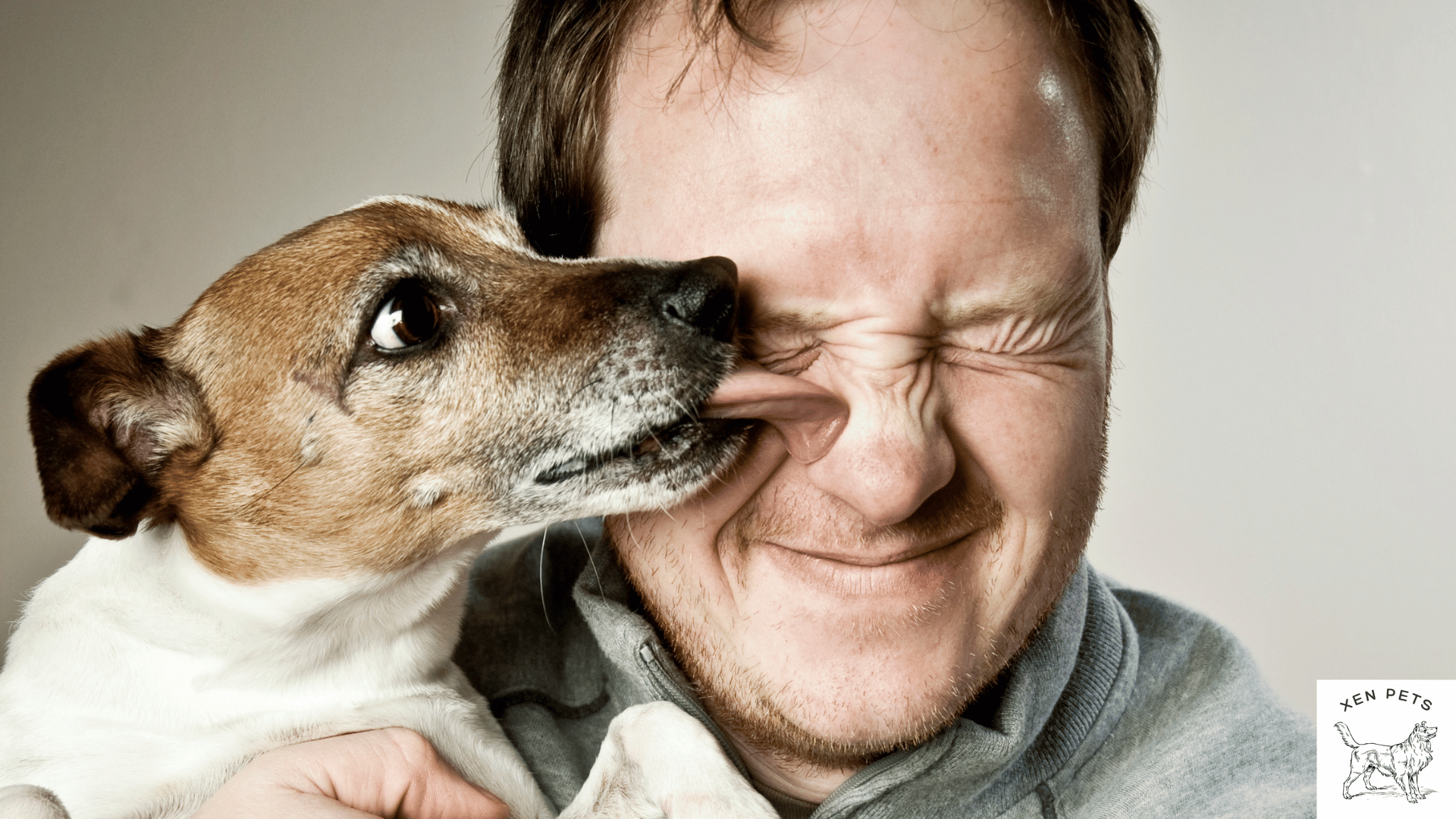 Why Does My Dog Lick Inside My Ears? 5 Steps to Stop It – Xen Pets