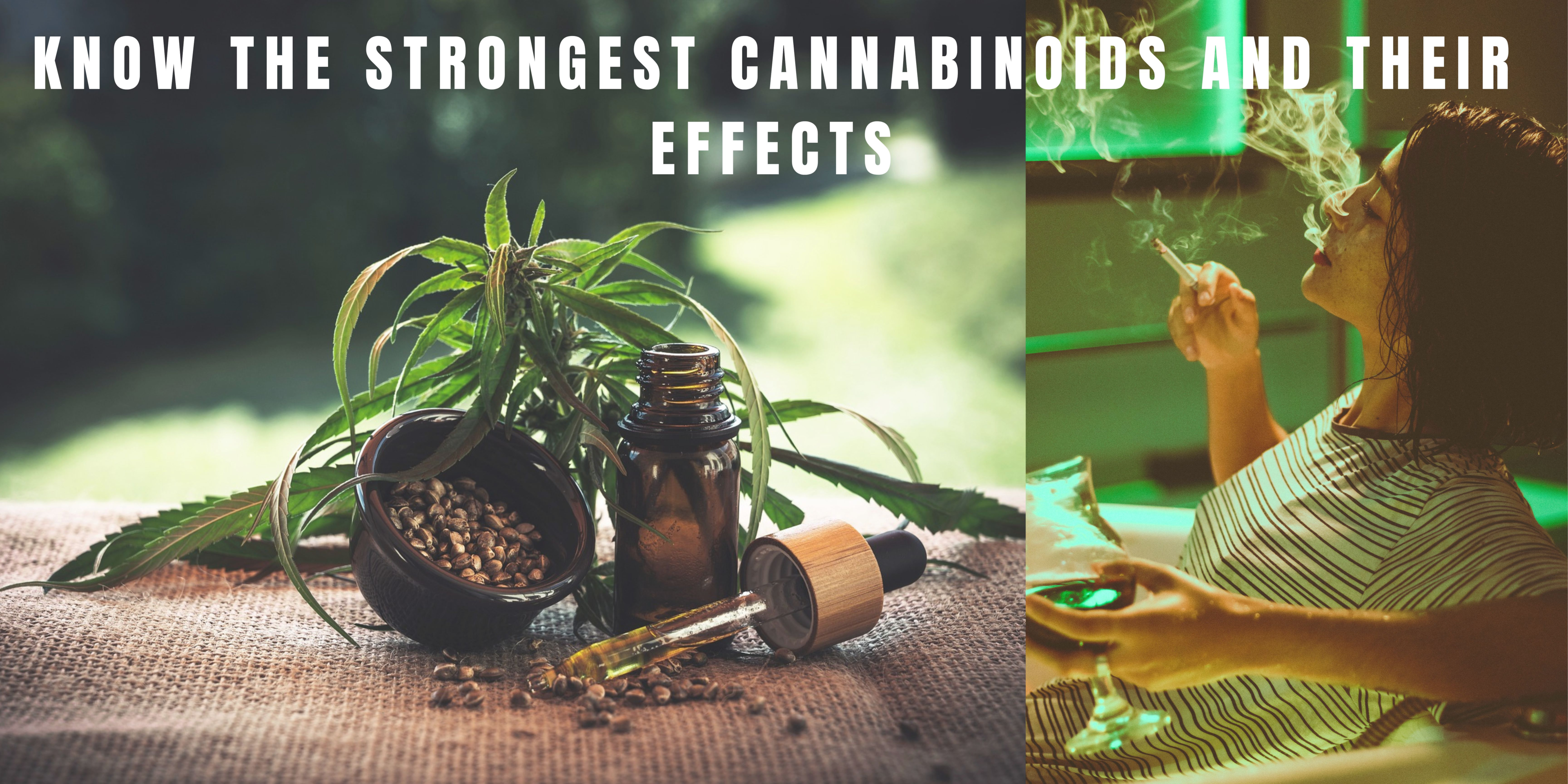 featured image of article about hhc cannabinoid effects