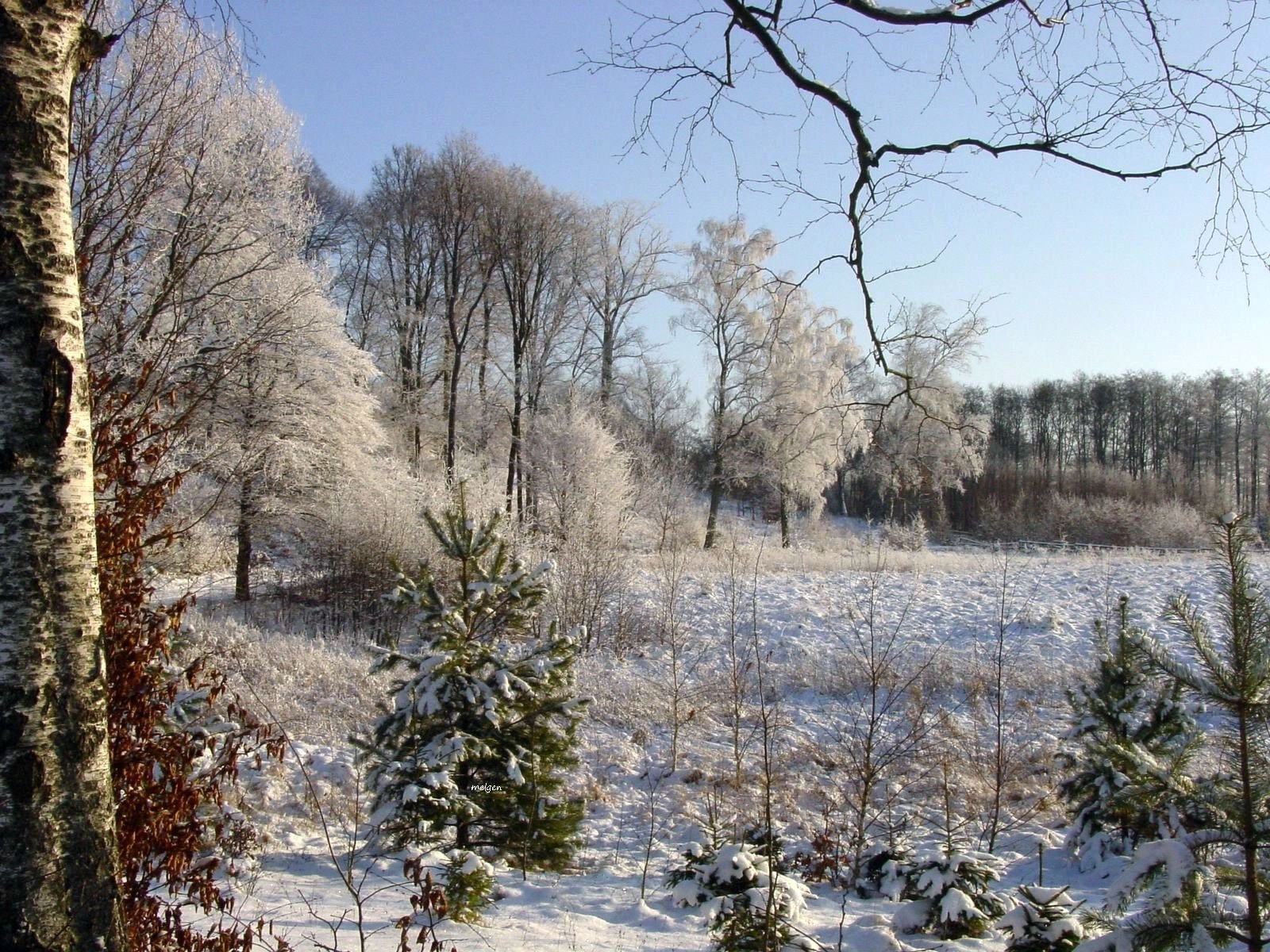 Zima na Mazurach (źródło: https://commons.wikimedia.org/wiki/File:Wysiecza.jpg)