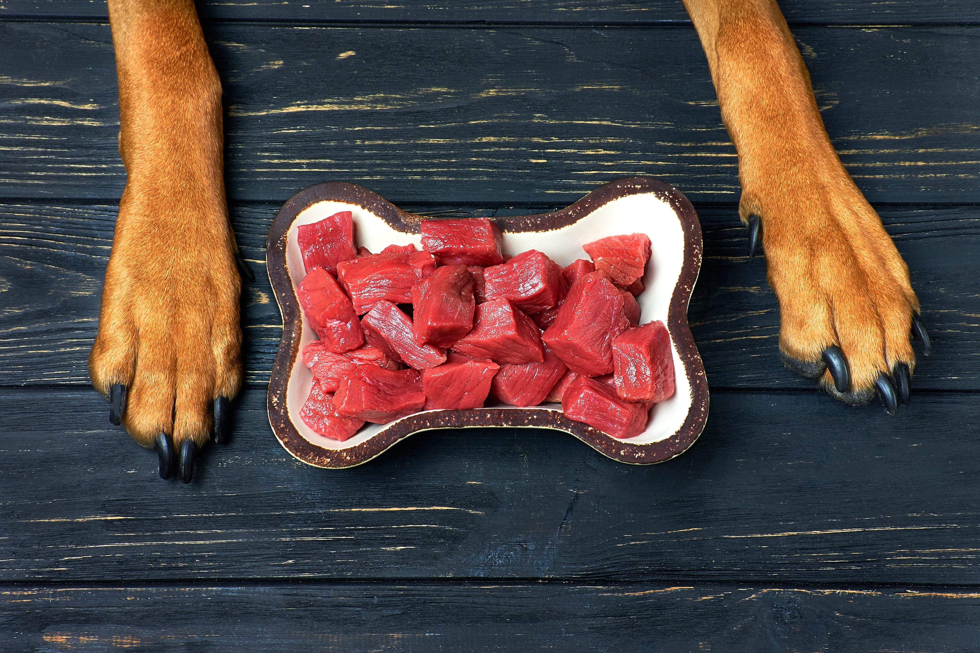 Monster Bully Sticks for dogs
