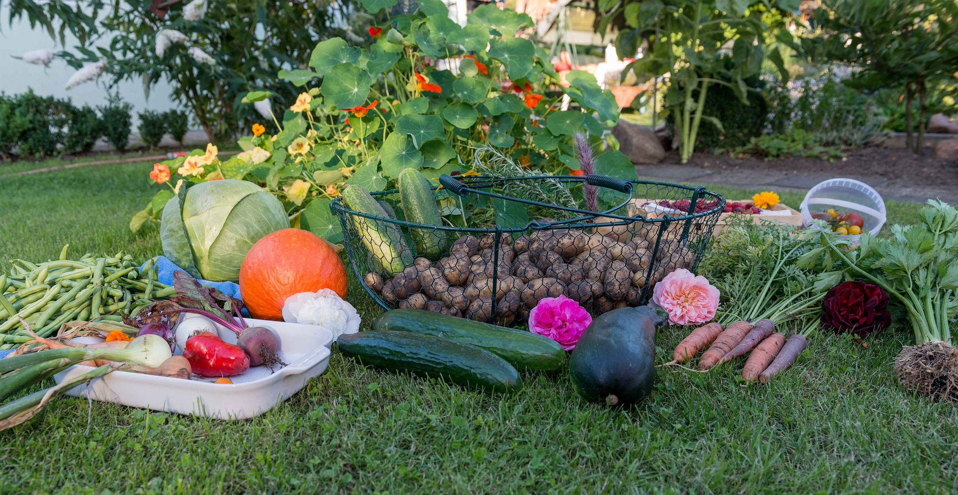 Fall crop production