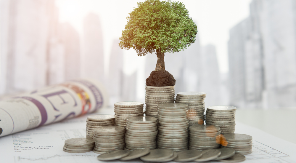 A small tree on a stack of coin