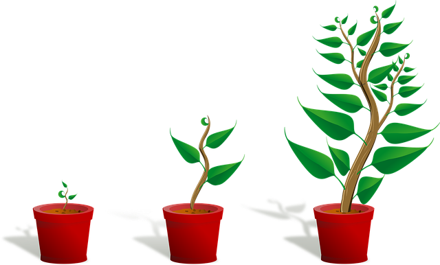 sapling, plant, growing, seedling, growth, potted plants, botany, gardening, leaves, nature, stem, concept, growth concept, cut out, plant, plant, plant, plant, growth, growth, growth, growth, growth