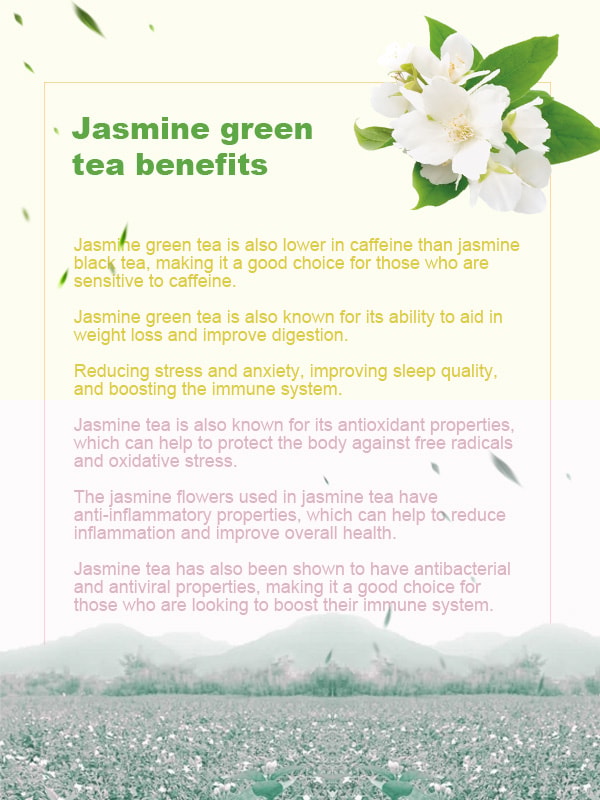 Jasmine green tea benefits