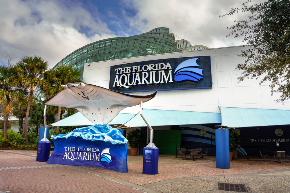 City Aquarium, FL Aquarium, tourist attractions, city tourism, city attractions, tourism market
