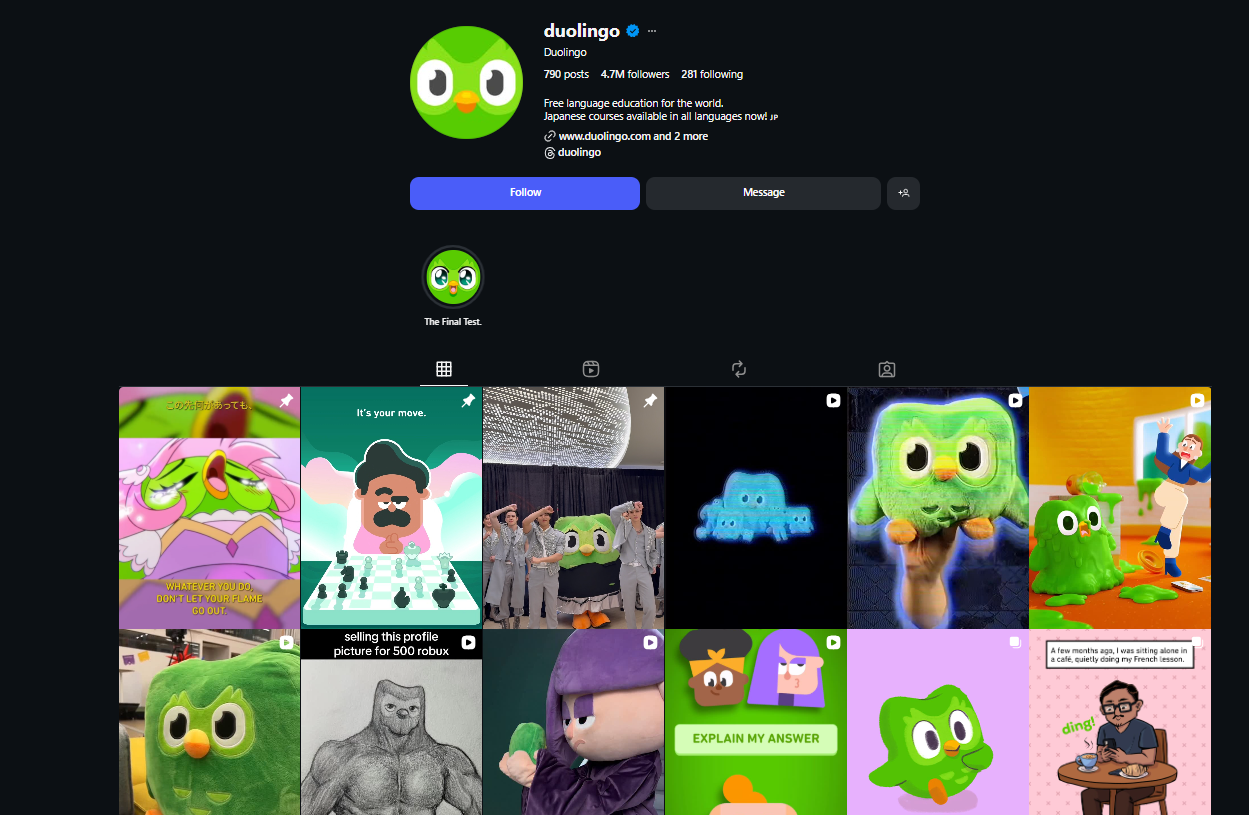 How to make money on Instagram through Instagram Reels (Duolingo)