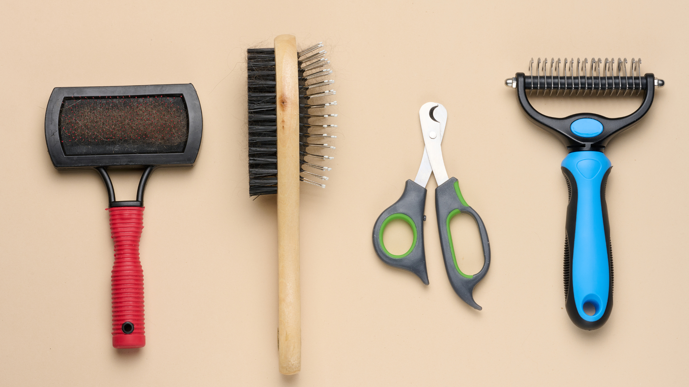 An image of multiple dog grooming tools