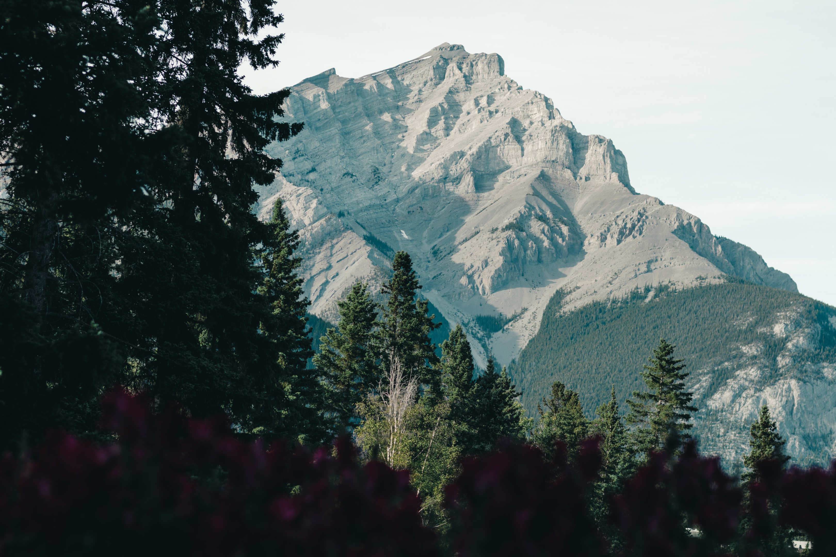 Banff villagers, full of human beings